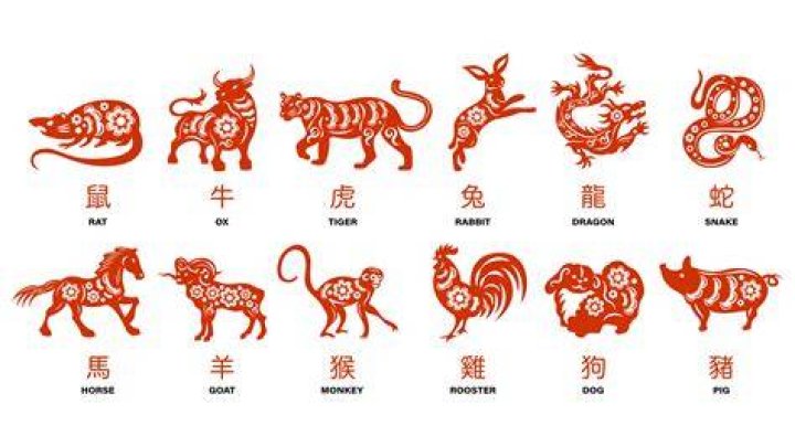1987 Chinese Zodiac: Discover the Traits, Compatibility, and Lucky Elements