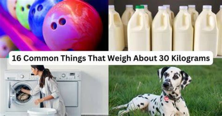 220 Kilograms: Understanding Its Impact and Significance