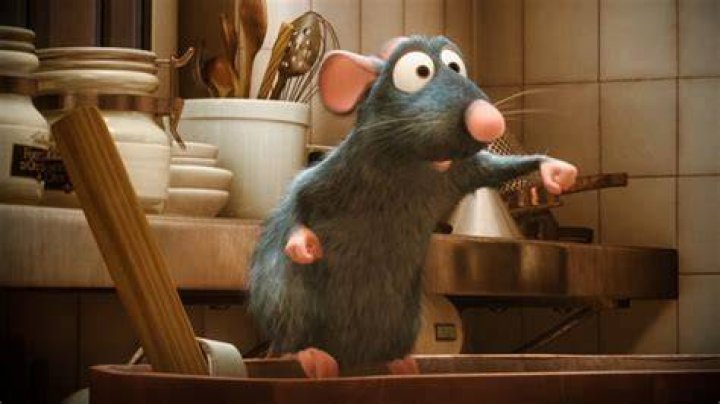 Adam Scott in Ratatouille: A Deep Dive into the Actor&rsquo;s Role and Legacy