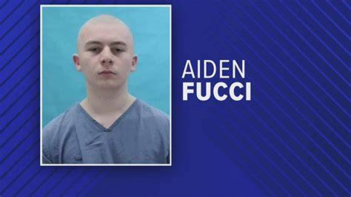 Aiden Fucci Documentary: A Deep Dive Into the Controversial Case That Shocked the Nation