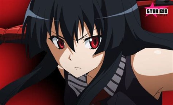 Akame Reiran: The Enigmatic Character Unveiled