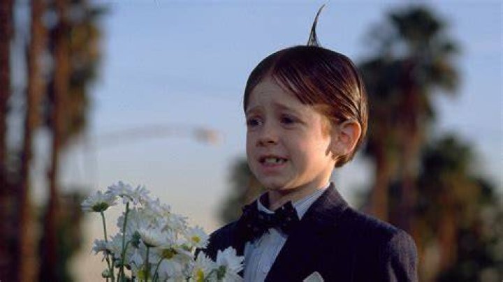 Alfalfa From Little Rascals: A Comprehensive Look at the Iconic Character