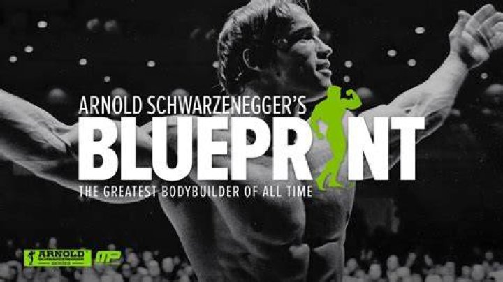 Arnold Schwarzenegger: The Blueprint for Success and Blue Altitude