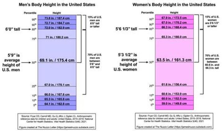 Average Female Height in United States: A Comprehensive Analysis