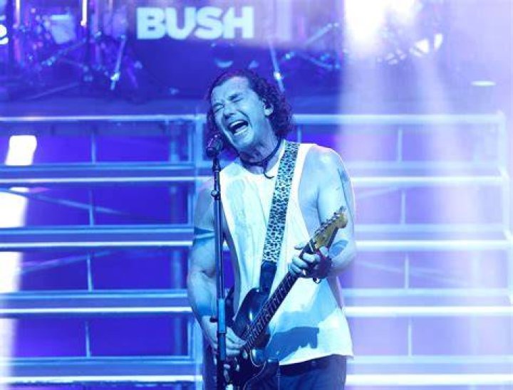 Band Bush Leinger: A Journey Through Rock and Roll