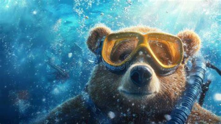 Bear Brown Relationships: Exploring the Depths of Connection in the Bear Community