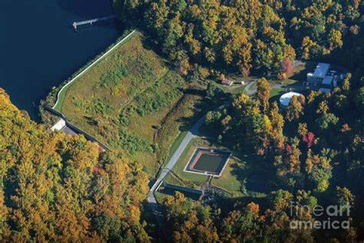 Bee Tree Reservoir: A Comprehensive Guide to Nature's Hidden Gem