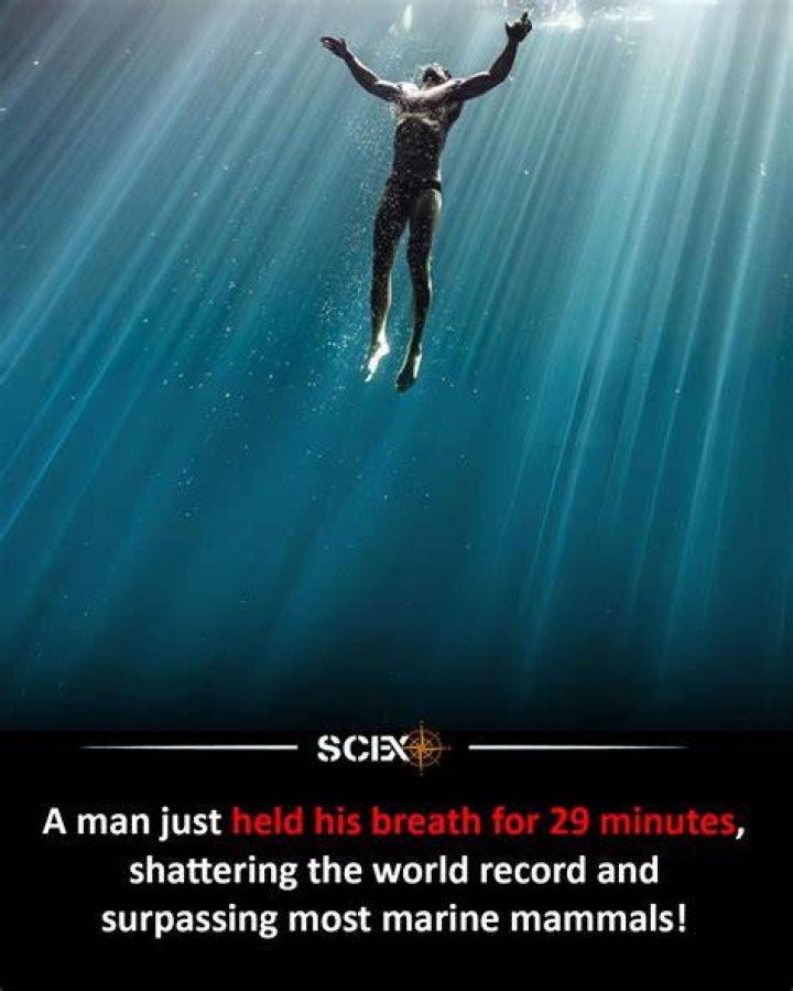 Breaking the Limits: Exploring the Longest Breath Holding Record