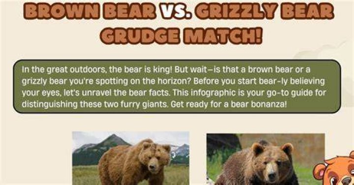 Brown Bear and Grizzly Bear: Unveiling the Mysteries of These Majestic Creatures