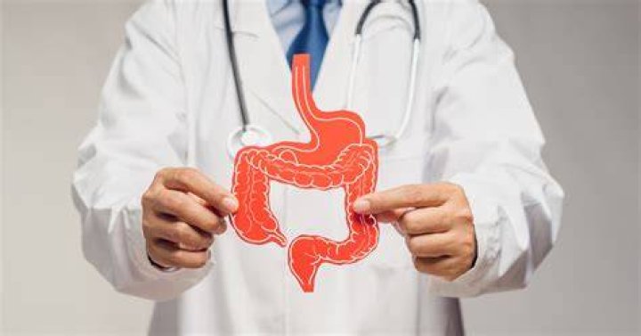 Butterbean Health Issues: A Comprehensive Guide for Optimal Care