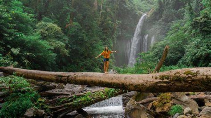 Campilverwood: A Premier Destination for Nature Lovers and Adventure Seekers