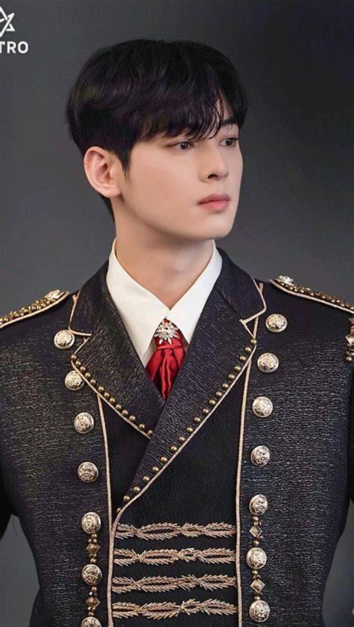 Cha Eunwoo Engagement: The Untold Story Behind the Hype