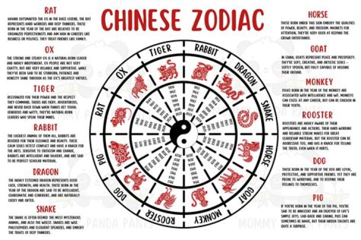Chinese Zodiacs Ranked: Discover the Characteristics and Traits of Each Sign