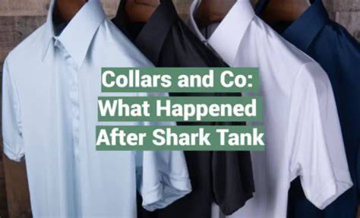 Collars and Co After Shark Tank: A Comprehensive Analysis and Journey