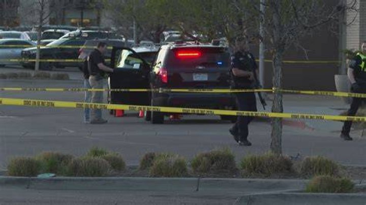 Colorado News Fort Collins: Your Ultimate Source for Local Updates