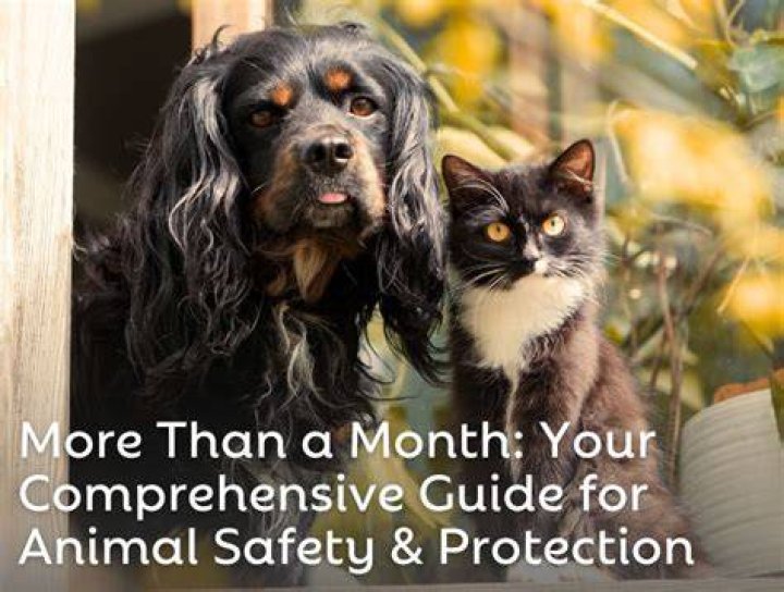 Comprehensive Guide to Animal Control in Dallas, Texas