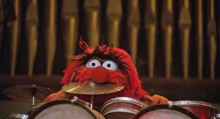 Comprehensive Guide to Animal Muppet Wiki: The Iconic Drumming Character