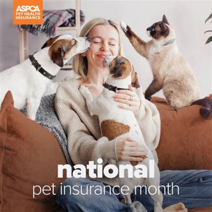 Comprehensive Guide to ASPCA Pet Insurance: Protect Your Furry Friend Today