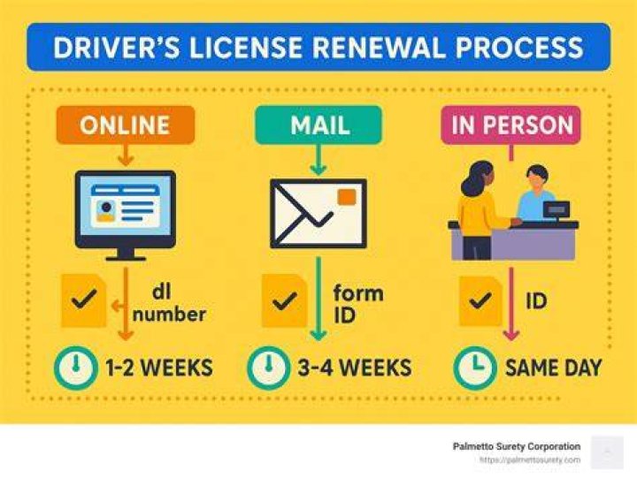Comprehensive Guide to Charlotte DMV License Renewal