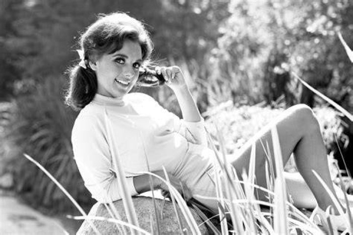 Dawn Wells TV Shows: A Comprehensive Look at Her Iconic Career