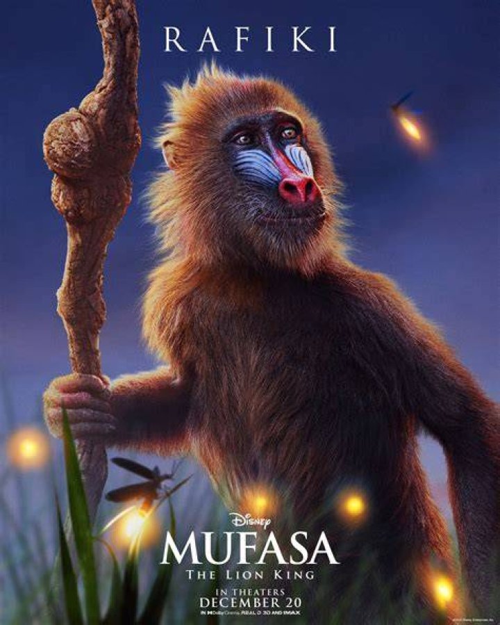 Define Rafiki: A Comprehensive Exploration of the Iconic Character