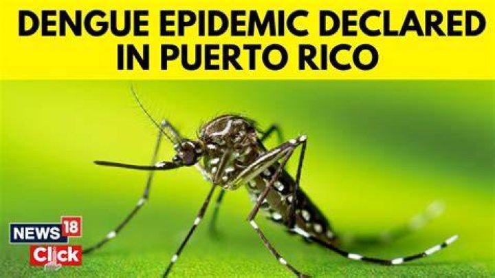 Dengue in Puerto Rico: A Comprehensive Guide