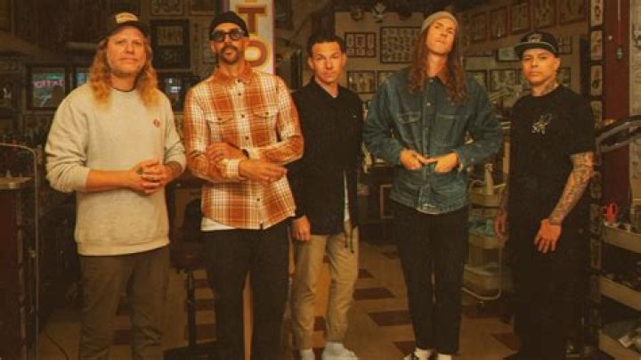 Dirty Heads Band: A Comprehensive Dive into Their Music, Journey, and Impact
