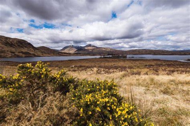 Discover the Allure of Pluckers Highlands: A Journey Through Nature and Tranquility