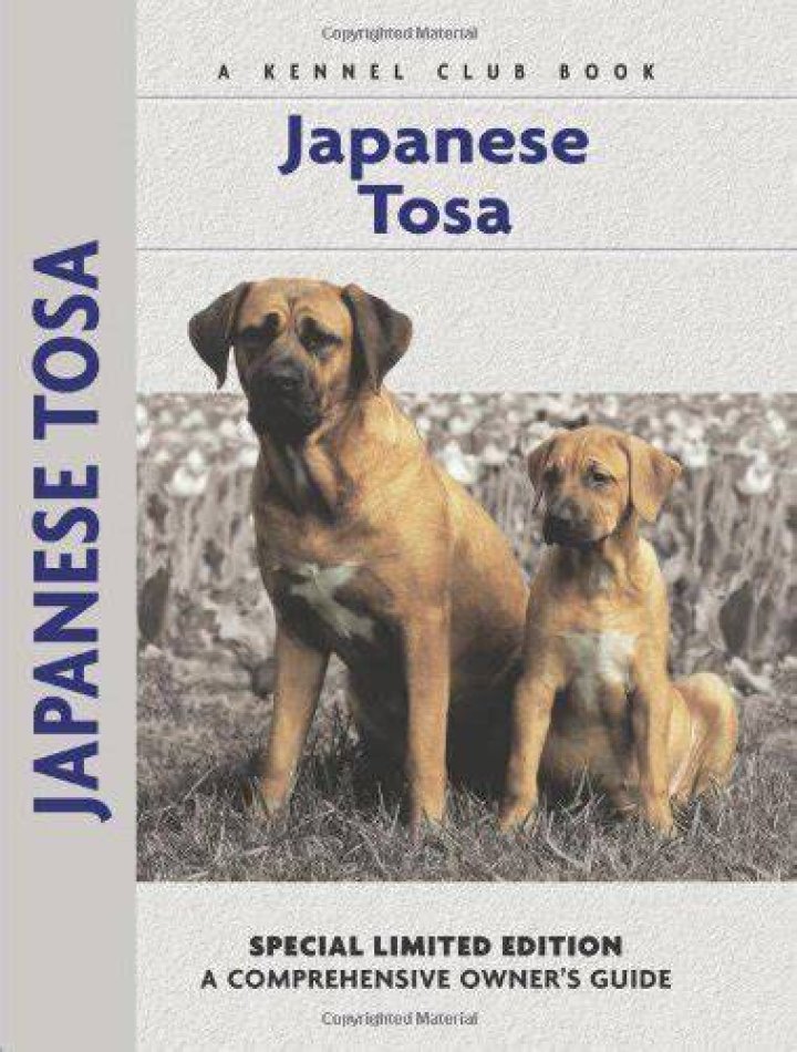 Discover the Majestic Japanese Dog Tosa: A Comprehensive Guide