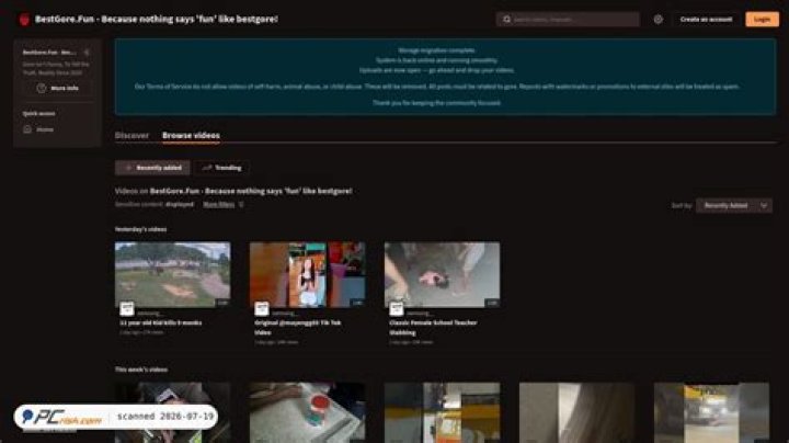 Discover the World of Bestgore.fun: Your Ultimate Source for Extreme Content