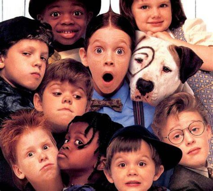 Dog on The Little Rascals Name: A Comprehensive Guide to Pet's Legacy