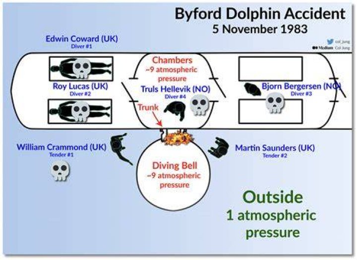 Dolphin Byford: A Comprehensive Guide to the Rising Star