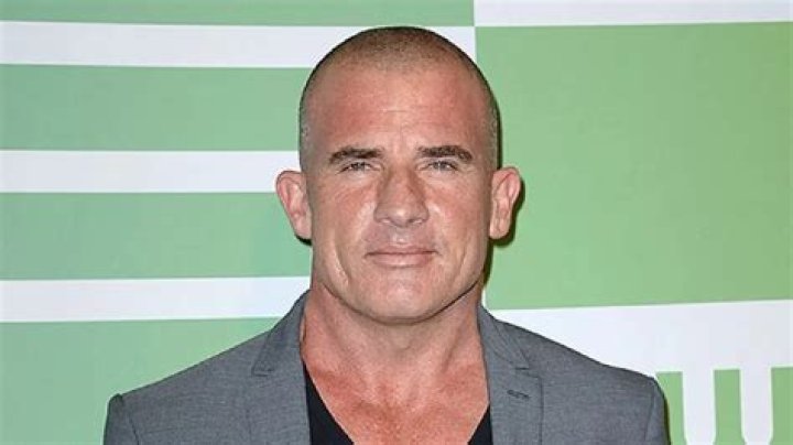 Dominic Purcell and TV Shows: A Comprehensive Exploration of His Career and Impact