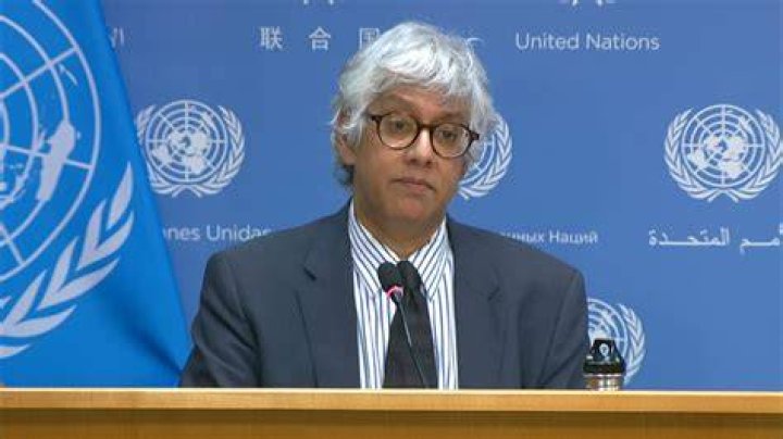 Elani Nassif United Nations: A Comprehensive Exploration of Her Impact and Contributions