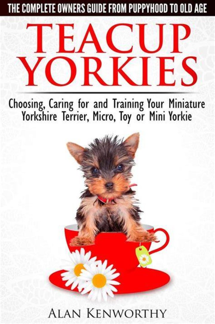 Enchanting Yorkies: The Ultimate Guide to Understanding and Caring for Your Yorkshire Terrier