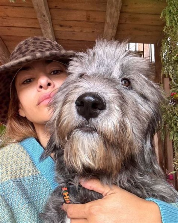 Eva Mendes Has Adopted a New Puppy Named Magic: A Heartwarming Story
