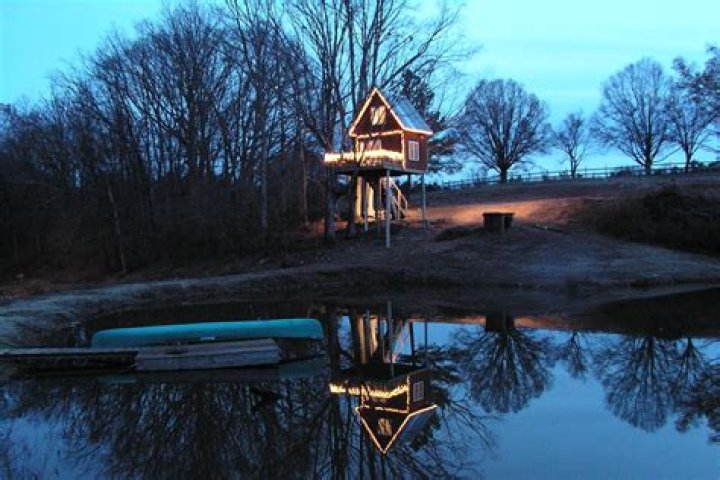 Explore the Enchanting Treehouse Vineyard Monroe North Carolina