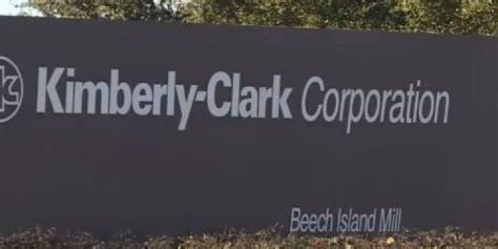 Exploring Kimberly-Clark's Beech Island: A Comprehensive Guide