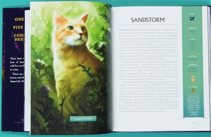 Exploring the Enigmatic World of Larry Cat: The Ultimate Guide