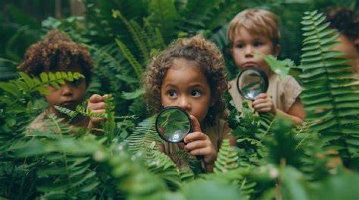 Exploring the Fascinating World of Tree at Labot Chabot