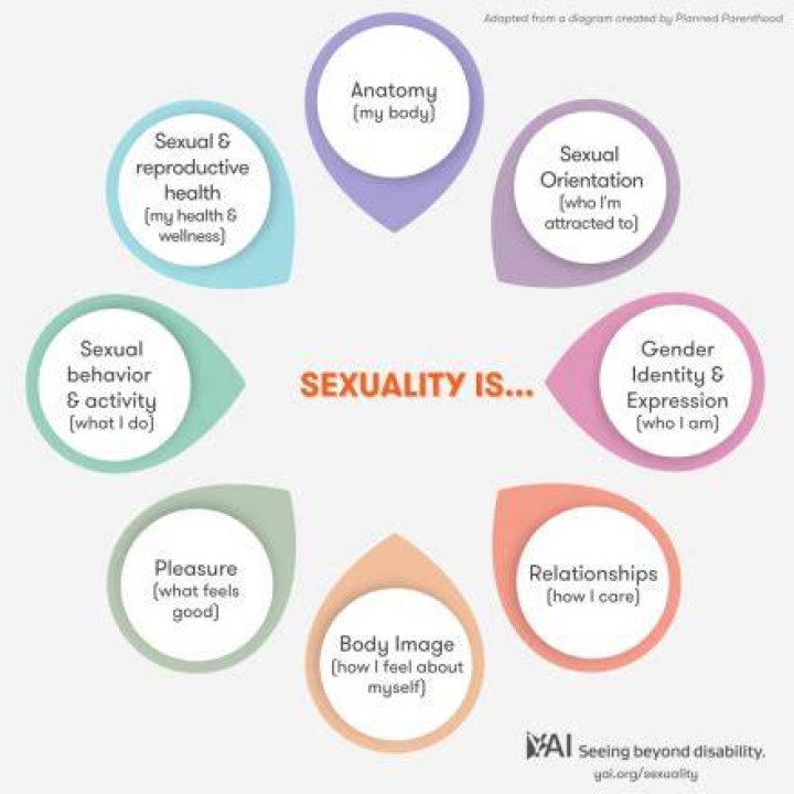 Exploring the World of Sexuality: Understanding Sexual Health and Wellness