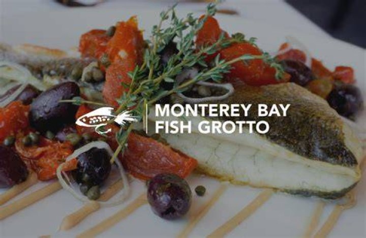 Fish Grotto Monterey: A Hidden Paradise for Marine Enthusiasts