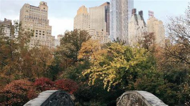 Green Central Park: A Haven of Sustainability in the Heart of the City