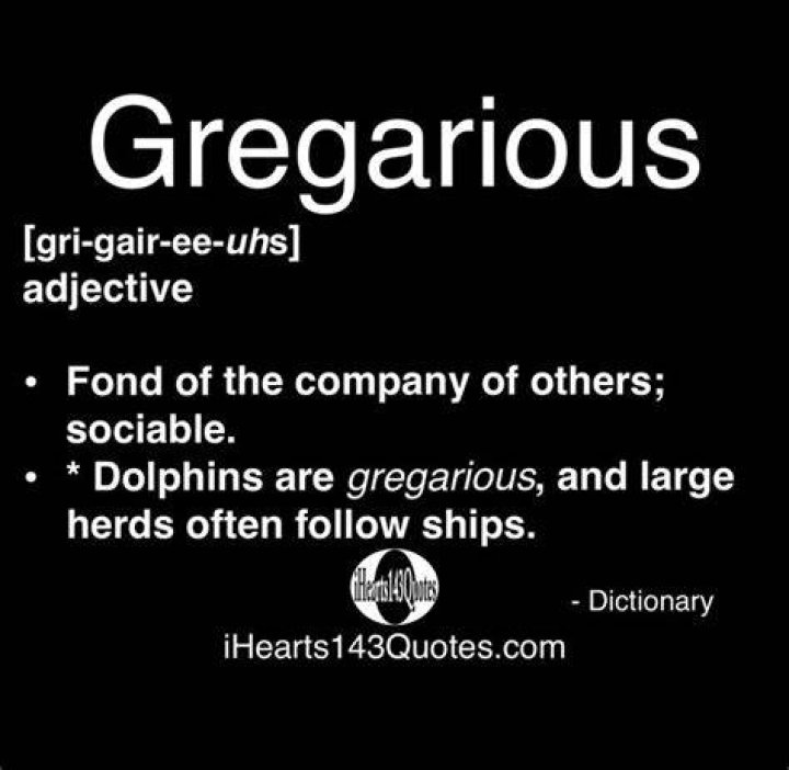 Gregarious Definition: Understanding the Art of Sociability and Its Impact on Life