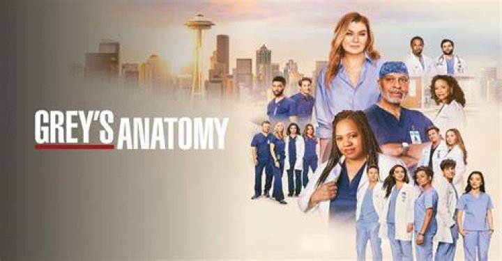 Grey's Anatomy: A Comprehensive Guide to the Iconic Medical Drama
