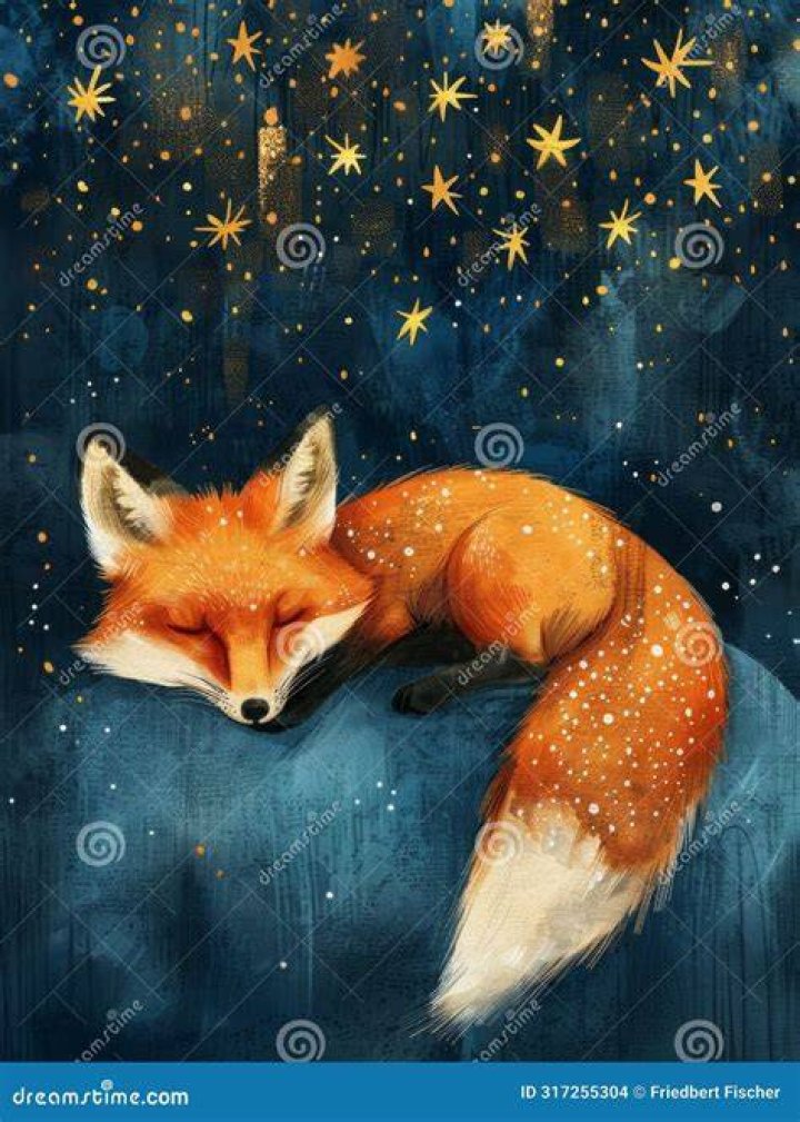 Harper the Fox: The Enchanting World of a Beloved Wildlife Star