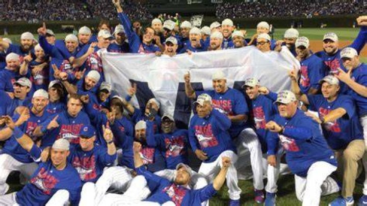 History of the Cubs: A Journey Through Triumphs, Challenges, and Legacy