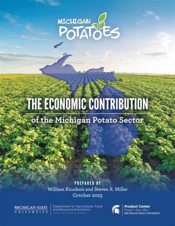 How Do Potatoes Contribute to the Economy: Unlocking the Economic Power of Potatoes
