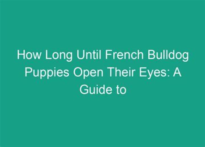 How Long Until Puppies Open Their Eyes: A Comprehensive Guide for Dog Owners