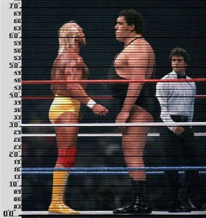 How Tall is Hulk Hogan: The Ultimate Guide to the Iconic Wrestler's Height